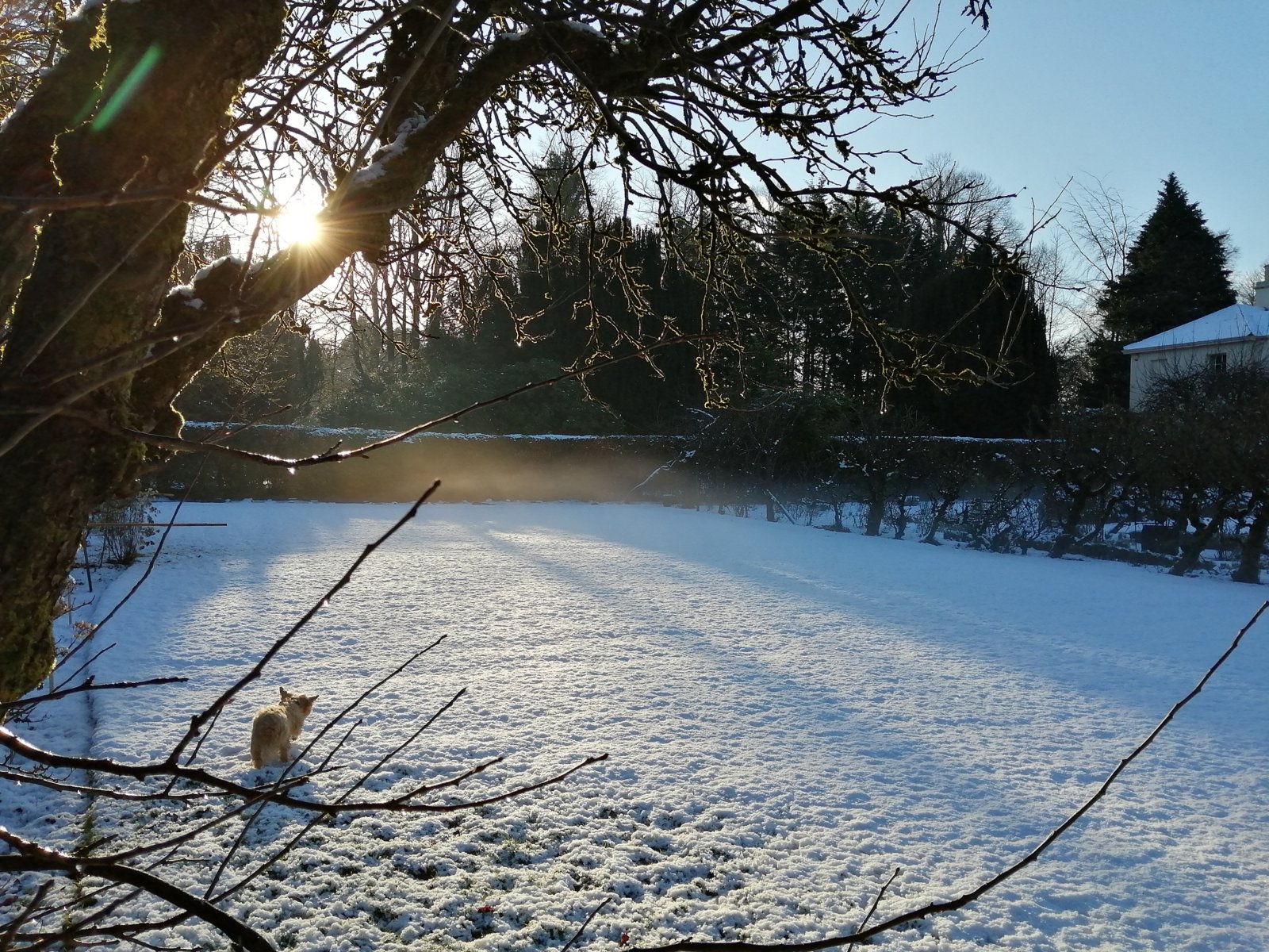 Hidden Huntley in Winter